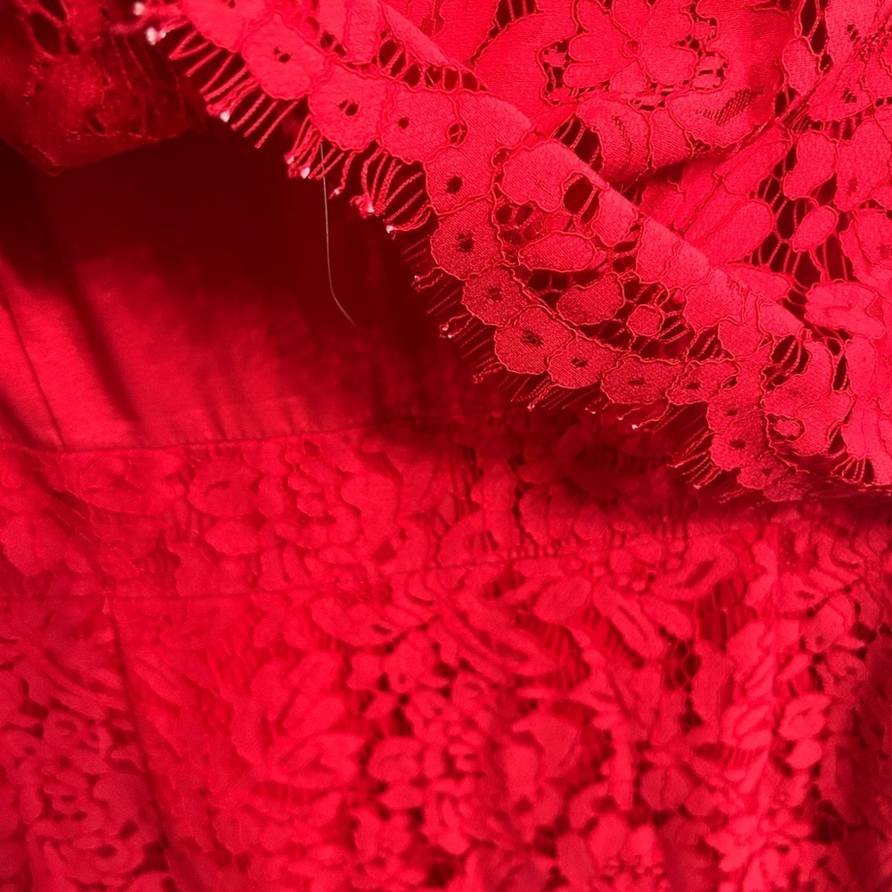 Good used condition Alex Marie Red Lace Dress size 16. Fully lined. Pretty! - Picture 5 of 11